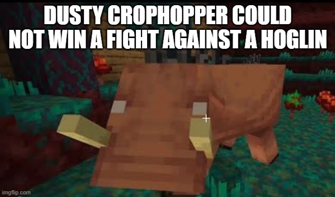 Hoglin | DUSTY CROPHOPPER COULD NOT WIN A FIGHT AGAINST A HOGLIN | image tagged in hoglin | made w/ Imgflip meme maker