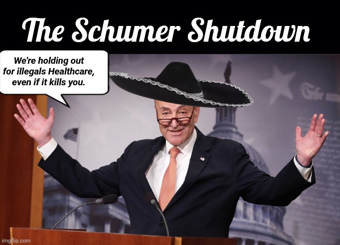 Schumer Shutdown we're holding out | The Schumer Shutdown; We're holding out for illegals Healthcare, even if it kills you. | image tagged in chuck schumer,shut,down,illegal | made w/ Imgflip meme maker