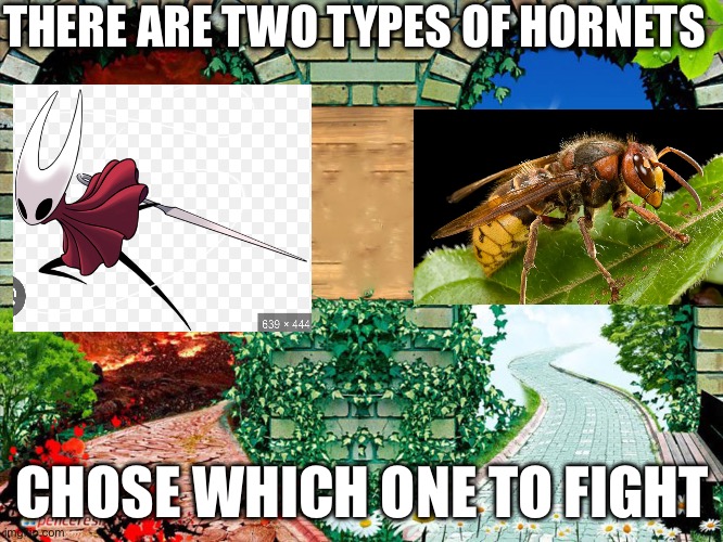 Heaven and hell | THERE ARE TWO TYPES OF HORNETS; CHOSE WHICH ONE TO FIGHT | image tagged in heaven and hell | made w/ Imgflip meme maker