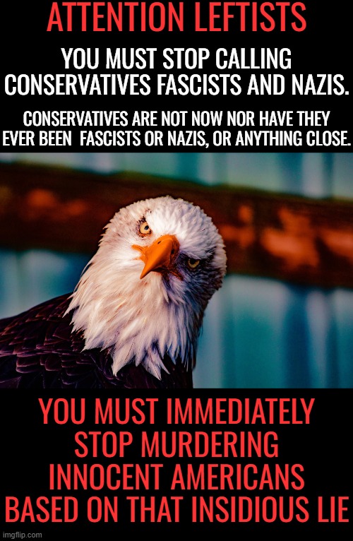 Do research.  Locate original documents printed by the actual German nazis and actual Italian fascists.  THEY ARE NOT US!!! | ATTENTION LEFTISTS; YOU MUST STOP CALLING CONSERVATIVES FASCISTS AND NAZIS. CONSERVATIVES ARE NOT NOW NOR HAVE THEY EVER BEEN  FASCISTS OR NAZIS, OR ANYTHING CLOSE. YOU MUST IMMEDIATELY STOP MURDERING INNOCENT AMERICANS BASED ON THAT INSIDIOUS LIE | image tagged in they are not us,fascism is socialism,nazism is national socialism,thats who the left is | made w/ Imgflip meme maker