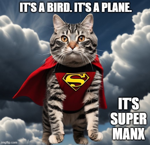 It's a bird. It's a plane. It's SUPER MANx.    --  funny  cat  -- | IT'S A BIRD. IT'S A PLANE. IT'S SUPER MANX | image tagged in funny,cats,humor,kittens,super man,funny cat memes | made w/ Imgflip meme maker