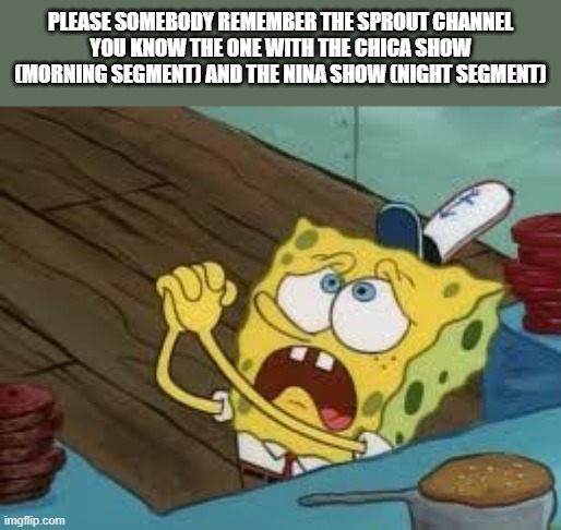speaking of childhood, i grew up on ts, it died in like 2010 or something? | PLEASE SOMEBODY REMEMBER THE SPROUT CHANNEL
YOU KNOW THE ONE WITH THE CHICA SHOW (MORNING SEGMENT) AND THE NINA SHOW (NIGHT SEGMENT) | image tagged in begging bob fix euw | made w/ Imgflip meme maker
