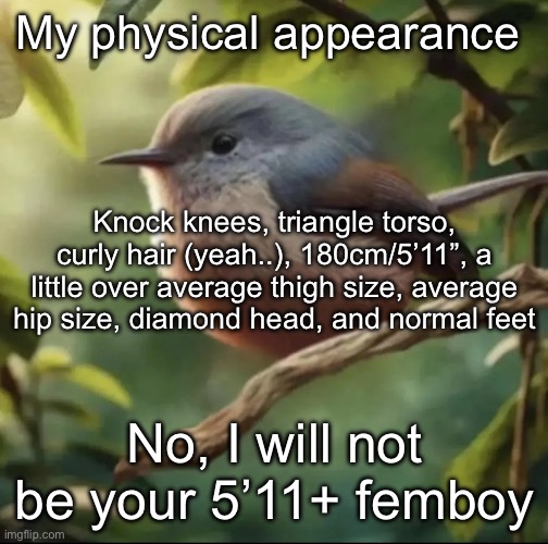 Don’t get ideas, I’m too big for that | My physical appearance; Knock knees, triangle torso, curly hair (yeah..), 180cm/5’11”, a little over average thigh size, average hip size, diamond head, and normal feet; No, I will not be your 5’11+ femboy | image tagged in no balls,msmg | made w/ Imgflip meme maker