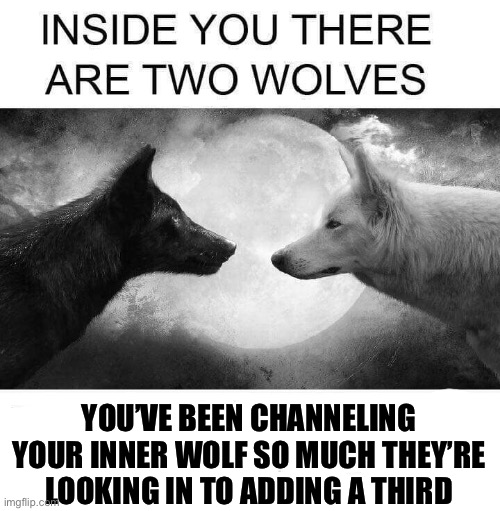 There is also a platypus who is a secret agent | YOU’VE BEEN CHANNELING YOUR INNER WOLF SO MUCH THEY’RE LOOKING IN TO ADDING A THIRD | image tagged in inside you there are two wolves | made w/ Imgflip meme maker