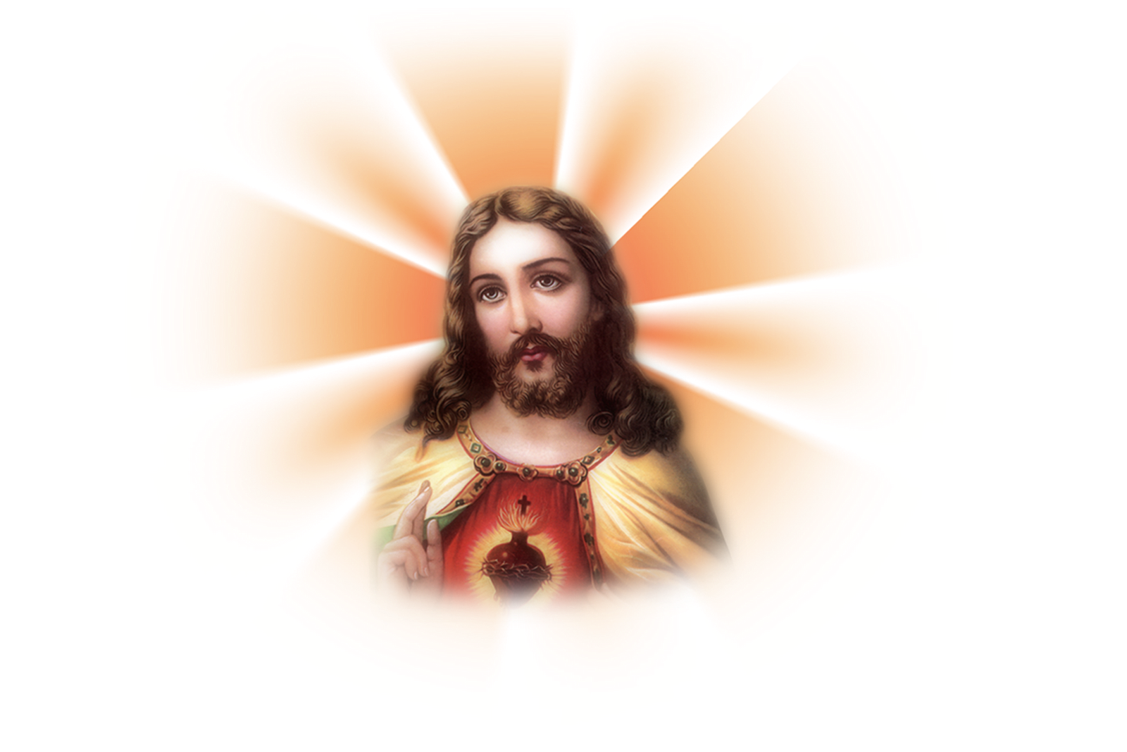 Jesus sacred heart logo Blank Meme Template