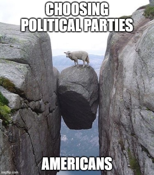 True | CHOOSING POLITICAL PARTIES; AMERICANS | image tagged in between a rock and a hard place | made w/ Imgflip meme maker