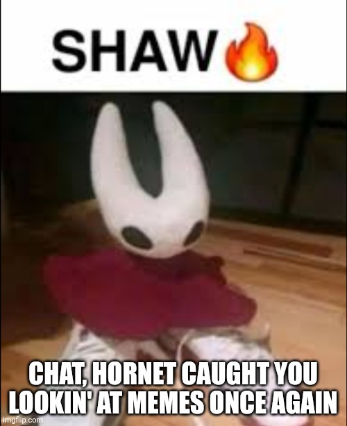 Hollow Knight invades Imgflip | CHAT, HORNET CAUGHT YOU LOOKIN' AT MEMES ONCE AGAIN | image tagged in hollow knight,hornet,silksong | made w/ Imgflip meme maker