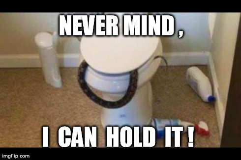 Never mind, I can hold it! | NEVER MIND , I  CAN  HOLD  IT ! | image tagged in memes,snake,funny,toilet | made w/ Imgflip meme maker