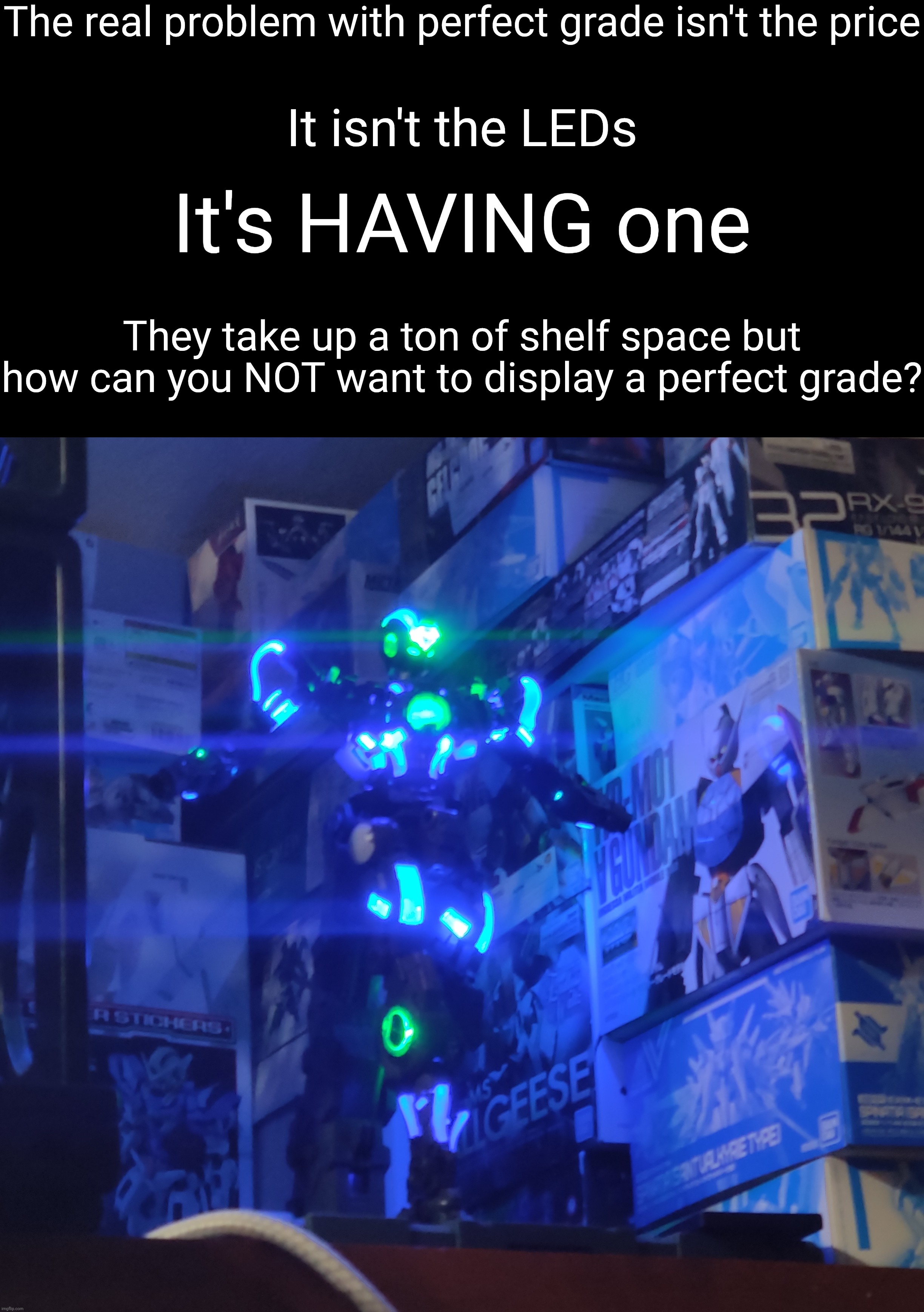 Sorry for bad image quality but I'm gonna wait until tomorrow to add the armor | The real problem with perfect grade isn't the price; It isn't the LEDs; It's HAVING one; They take up a ton of shelf space but how can you NOT want to display a perfect grade? | made w/ Imgflip meme maker