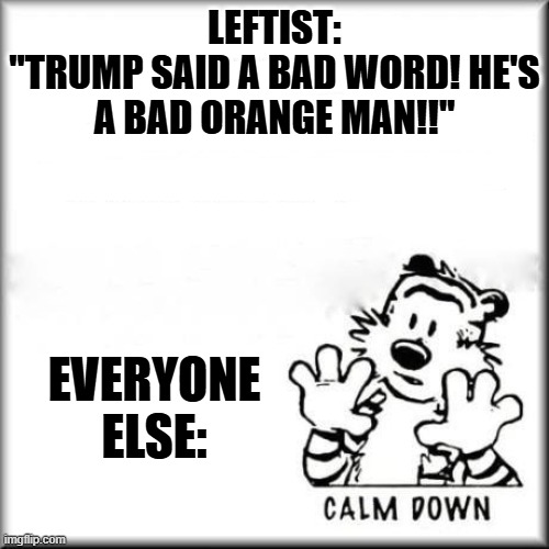 river of tears still flowing | LEFTIST:
"TRUMP SAID A BAD WORD! HE'S A BAD ORANGE MAN!!"; EVERYONE ELSE: | image tagged in calvin and hobbes calm down,memes,politics | made w/ Imgflip meme maker