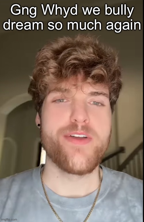 Lowkey bring him back he didn’t deserve what happened to him whatsoever | Gng Whyd we bully dream so much again | made w/ Imgflip meme maker