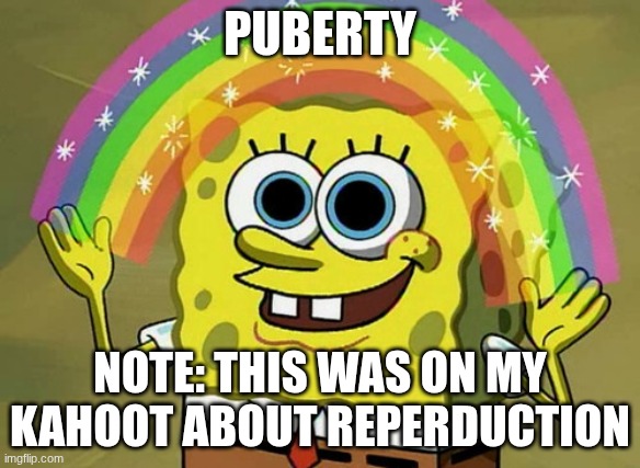 wat | PUBERTY; NOTE: THIS WAS ON MY KAHOOT ABOUT REPERDUCTION | image tagged in memes,imagination spongebob,pubity,school,kahoot | made w/ Imgflip meme maker