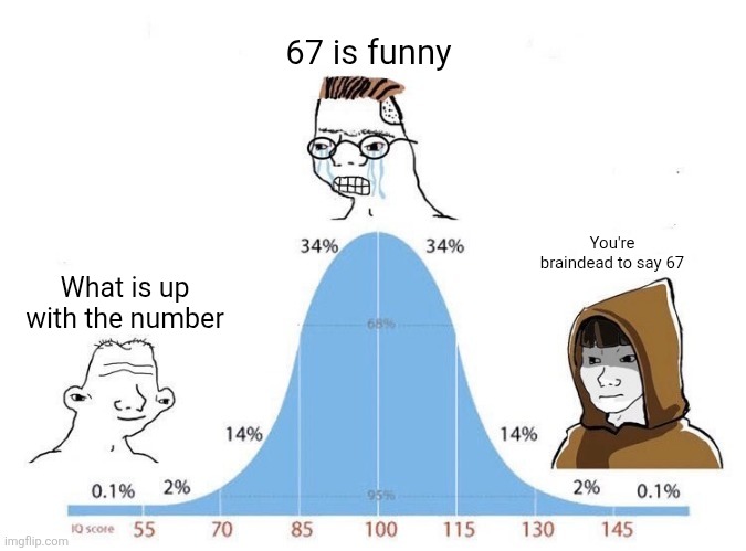 Sadly it is 2% who can figure out that 67 is braindead | 67 is funny; You're braindead to say 67; What is up with the number | image tagged in bell curve,67,oh wow are you actually reading these tags,what the tag,shitpost,f-u-n-n-y | made w/ Imgflip meme maker