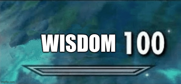 Skyrim skill meme | WISDOM | image tagged in skyrim skill meme | made w/ Imgflip meme maker