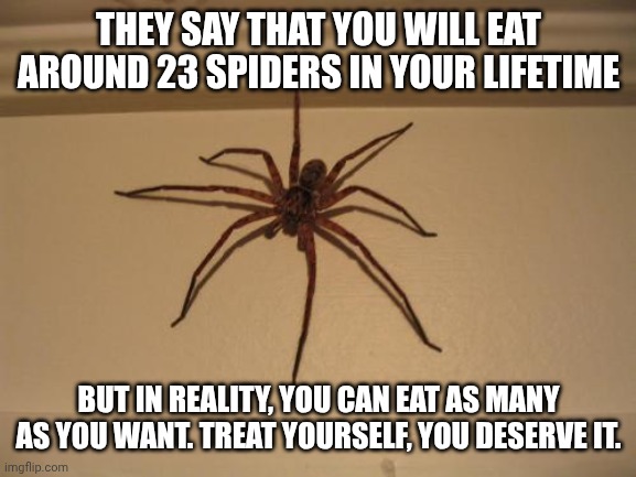 Treat yourself, you deserve it. | THEY SAY THAT YOU WILL EAT AROUND 23 SPIDERS IN YOUR LIFETIME; BUT IN REALITY, YOU CAN EAT AS MANY AS YOU WANT. TREAT YOURSELF, YOU DESERVE IT. | image tagged in scumbag spider,cool bug facts,gross,arachnophobia,treat yo self | made w/ Imgflip meme maker