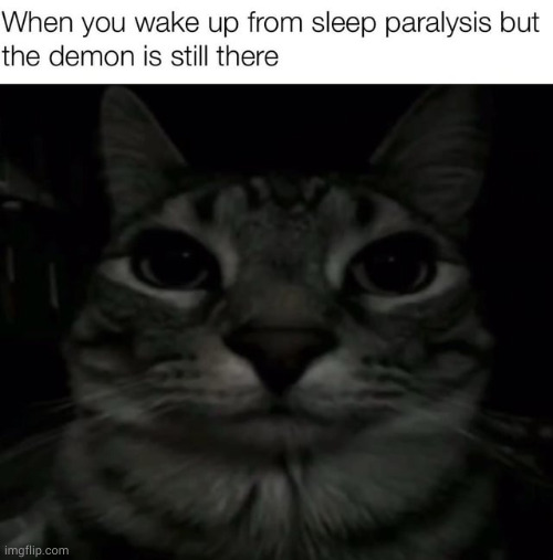 Then it pull you're pants down and starts clapping they cheeks | made w/ Imgflip meme maker