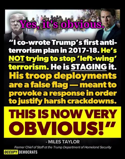 It is obvious. But will my neighbors see it? | Yes, it's obvious. | image tagged in trump relies on dumb people,don't be dumb | made w/ Imgflip meme maker
