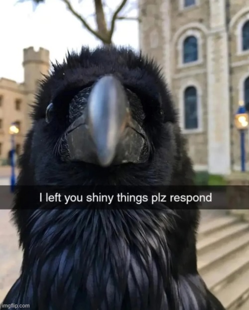 back chat (face reveal) | made w/ Imgflip meme maker