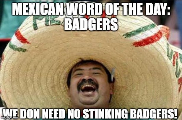 mexican word of the day | MEXICAN WORD OF THE DAY:
BADGERS; WE DON NEED NO STINKING BADGERS! | image tagged in mexican word of the day | made w/ Imgflip meme maker