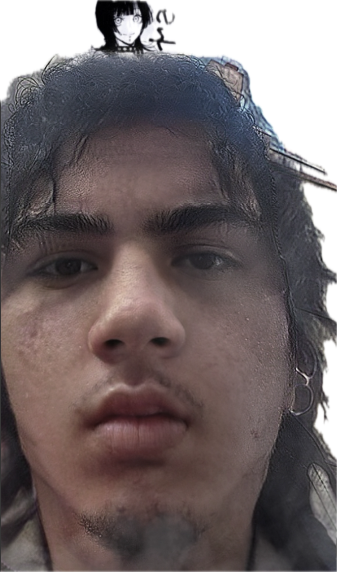 idnc about my face Blank Meme Template