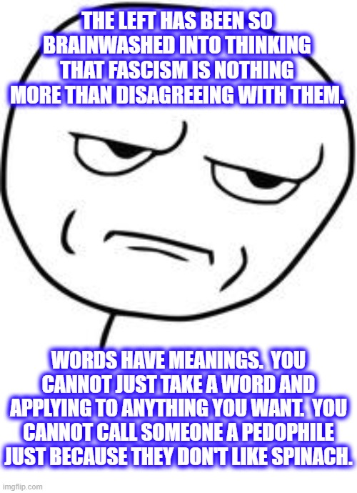 This why the left is killing people.  They have been indoctrinated with this stupidity for decades. | THE LEFT HAS BEEN SO BRAINWASHED INTO THINKING THAT FASCISM IS NOTHING MORE THAN DISAGREEING WITH THEM. WORDS HAVE MEANINGS.  YOU CANNOT JUST TAKE A WORD AND APPLYING TO ANYTHING YOU WANT.  YOU CANNOT CALL SOMEONE A PEDOPHILE JUST BECAUSE THEY DON'T LIKE SPINACH. | image tagged in are you kidding me,fascism is socialism,learn history | made w/ Imgflip meme maker