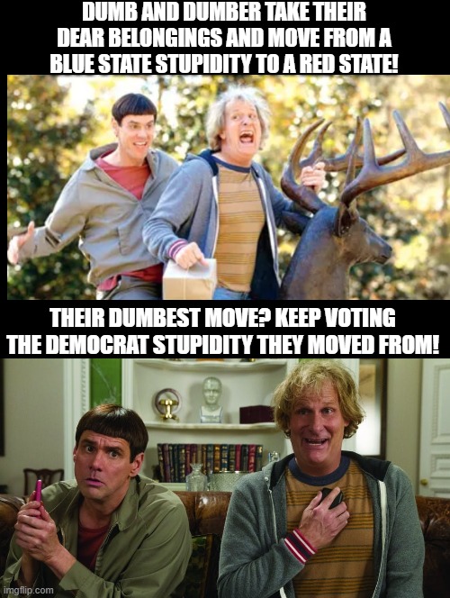 Dumb and Dumber Democrat Voters | DUMB AND DUMBER TAKE THEIR DEAR BELONGINGS AND MOVE FROM A BLUE STATE STUPIDITY TO A RED STATE! THEIR DUMBEST MOVE? KEEP VOTING THE DEMOCRAT STUPIDITY THEY MOVED FROM! | image tagged in i'm the dumbest man alive,sam elliott special kind of stupid | made w/ Imgflip meme maker
