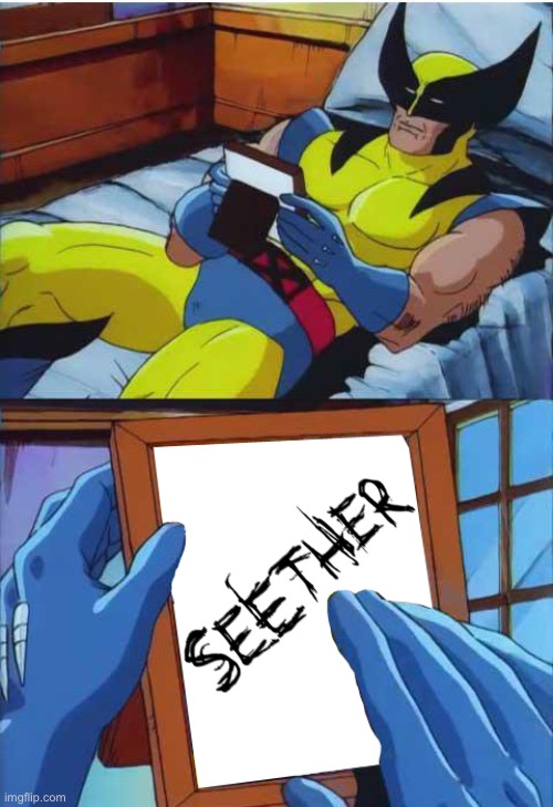 Seether | image tagged in wolverine remember | made w/ Imgflip meme maker