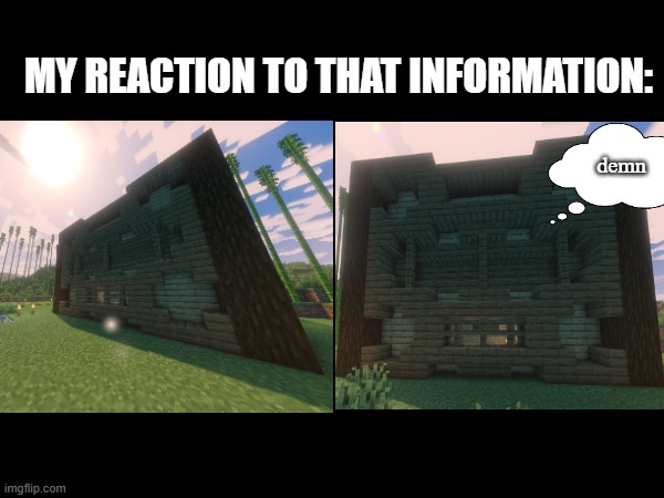 reaction image | MY REACTION TO THAT INFORMATION:; demn | image tagged in reaction,minecraft | made w/ Imgflip meme maker