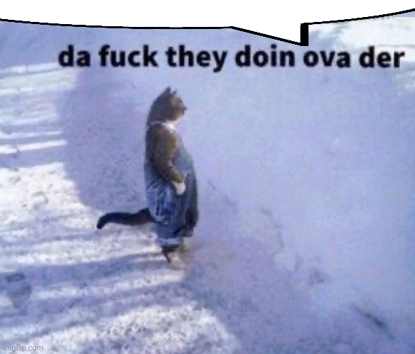 Da fuck they doin ova der | image tagged in da fuck they doin ova der | made w/ Imgflip meme maker