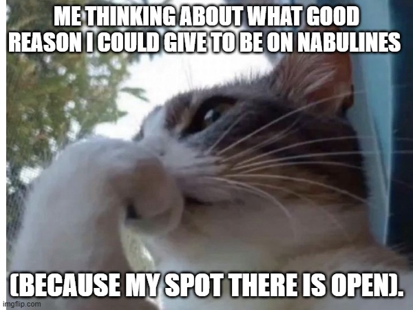 me in nabulines wait list | ME THINKING ABOUT WHAT GOOD REASON I COULD GIVE TO BE ON NABULINES; (BECAUSE MY SPOT THERE IS OPEN). | image tagged in memes | made w/ Imgflip meme maker