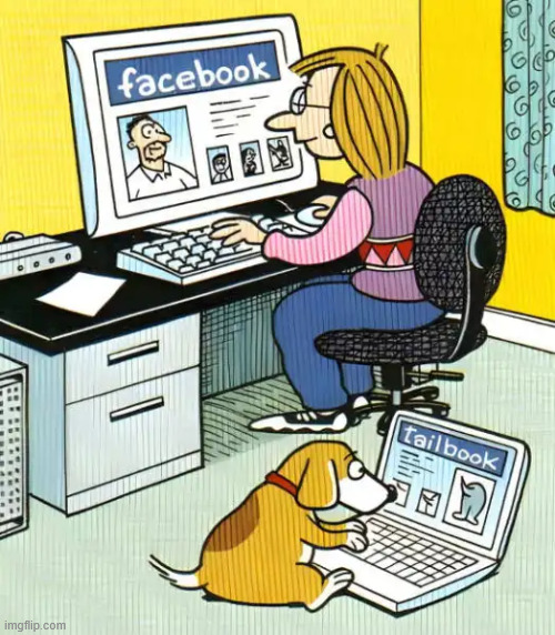 Catching up on social media | image tagged in repost,catching up on social media | made w/ Imgflip meme maker