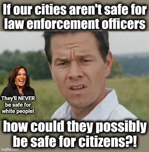 Pro-crime democrats destroying American cities | If our cities aren't safe for
law enforcement officers; They'll NEVER
be safe for
white people! how could they possibly
be safe for citizens?! | image tagged in mark wahlberg confused,memes,democrats,crime,cities,trump derangement syndrome | made w/ Imgflip meme maker