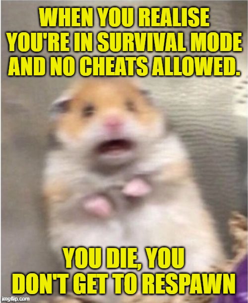 WHEN YOU REALISE YOU'RE IN SURVIVAL MODE AND NO CHEATS ALLOWED. YOU DIE, YOU DON'T GET TO RESPAWN | image tagged in scared hamster | made w/ Imgflip meme maker