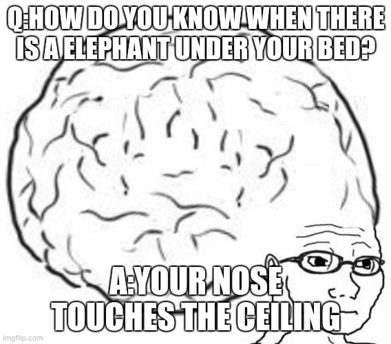 Big Brain | Q:HOW DO YOU KNOW WHEN THERE IS A ELEPHANT UNDER YOUR BED? A:YOUR NOSE TOUCHES THE CEILING | image tagged in big brain | made w/ Imgflip meme maker