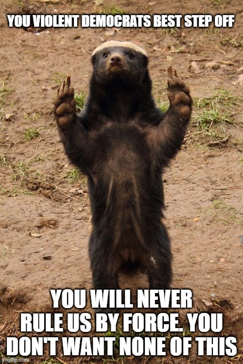 Free and staying that way | YOU VIOLENT DEMOCRATS BEST STEP OFF; YOU WILL NEVER RULE US BY FORCE. YOU DON'T WANT NONE OF THIS | image tagged in honey badger,freedom in murica,maga,democrat war on america,god bless america,back the blue | made w/ Imgflip meme maker