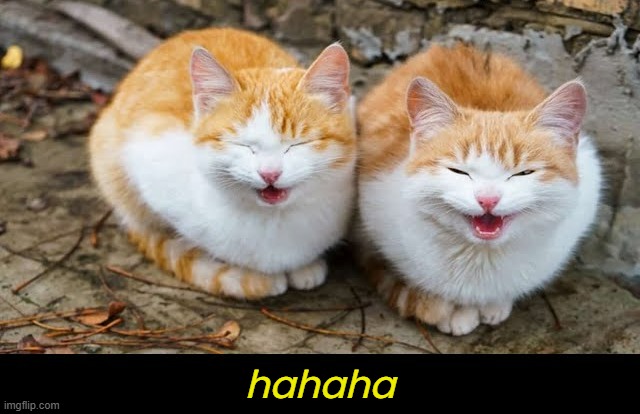 hahaha | made w/ Imgflip meme maker
