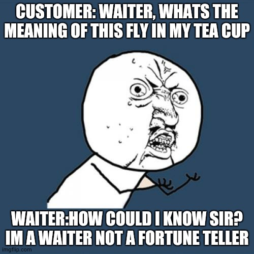 Y U No | CUSTOMER: WAITER, WHATS THE MEANING OF THIS FLY IN MY TEA CUP; WAITER:HOW COULD I KNOW SIR? IM A WAITER NOT A FORTUNE TELLER | image tagged in memes,y u no | made w/ Imgflip meme maker