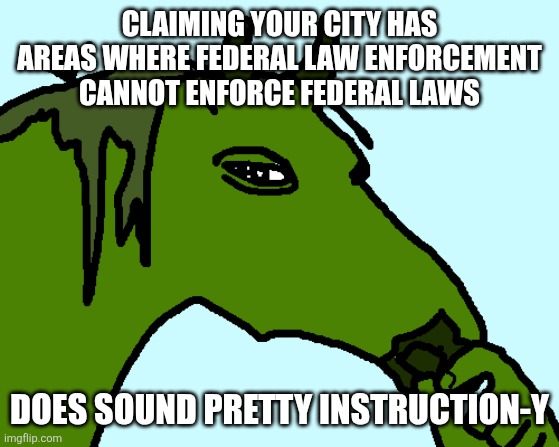 horse pepe | CLAIMING YOUR CITY HAS AREAS WHERE FEDERAL LAW ENFORCEMENT CANNOT ENFORCE FEDERAL LAWS DOES SOUND PRETTY INSTRUCTION-Y | image tagged in horse pepe | made w/ Imgflip meme maker