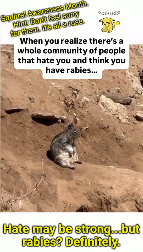 Squirrel Awareness Month: the truth #2 | Squirrel Awareness Month.
Hint: Don't feel sorry for them. It's all a ruse. Hate may be strong...but rabies? Definitely. | made w/ Imgflip meme maker