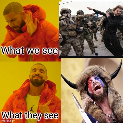 Drake Hotline Bling Meme | What we see What they see | image tagged in memes,drake hotline bling | made w/ Imgflip meme maker