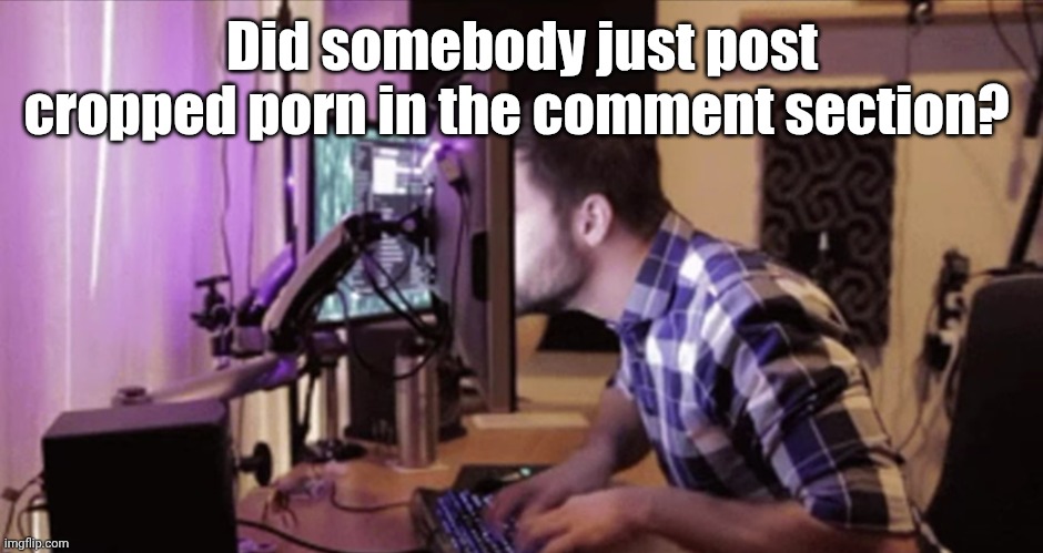 Did somebody just | Did somebody just post cropped porn in the comment section? | image tagged in computer guy looking very closely | made w/ Imgflip meme maker