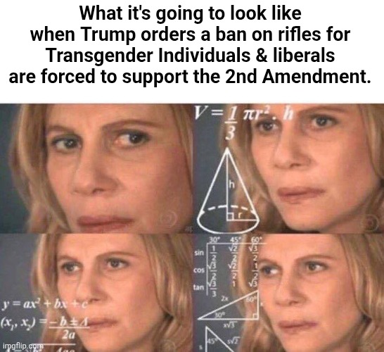 Math lady/Confused lady | What it's going to look like when Trump orders a ban on rifles for Transgender Individuals & liberals are forced to support the 2nd Amendment. | image tagged in math lady/confused lady | made w/ Imgflip meme maker