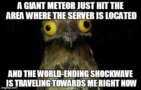 Crazy eyed bird | A GIANT METEOR JUST HIT THE AREA WHERE THE SERVER IS LOCATED AND THE WORLD-ENDING SHOCKWAVE IS TRAVELING TOWARDS ME RIGHT NOW | image tagged in crazy eyed bird,AdviceAnimals | made w/ Imgflip meme maker