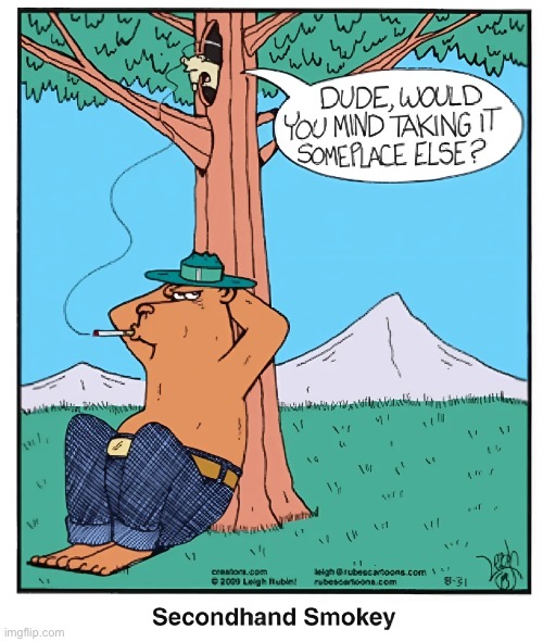 Rubes | image tagged in comics,rubes,smokey the bear,squirrel,second hand smoke,complaint | made w/ Imgflip meme maker