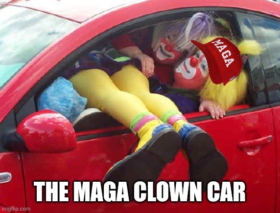 clown car | THE MAGA CLOWN CAR | image tagged in clown car | made w/ Imgflip meme maker