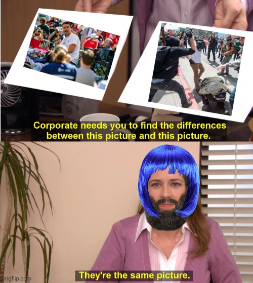 speech and debate are not violence, except to the people who can't debate | image tagged in memes,they're the same picture,political meme | made w/ Imgflip meme maker