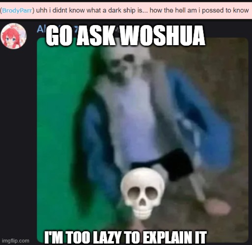 mods, disapprove this image if this almost caused drama when I'm offline | GO ASK WOSHUA; I'M TOO LAZY TO EXPLAIN IT | image tagged in sans skull | made w/ Imgflip meme maker