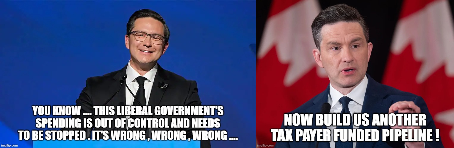 canadian politics | image tagged in political meme | made w/ Imgflip meme maker
