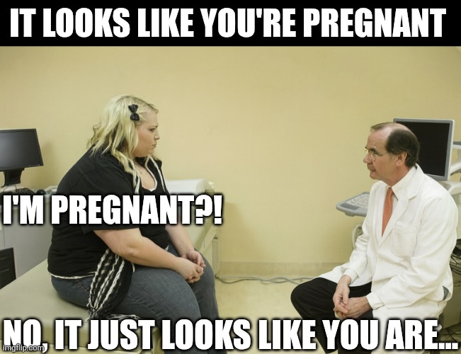 It Looks Like You're Pregnant | IT LOOKS LIKE YOU'RE PREGNANT; I'M PREGNANT?! NO, IT JUST LOOKS LIKE YOU ARE... | image tagged in chrisjoines1 | made w/ Imgflip meme maker