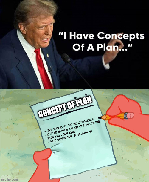 CONCEPT OF PLAN; -GIVE TAX CUTS TO BILLIONAIRES. 
-KICK MEMAW & PAPAW OFF MEDICARE
-KICK KIDS OFF CHIP
-SHUT DOWN THE GOVERNMENT | image tagged in patrick to do list actually blank | made w/ Imgflip meme maker